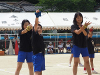 P5231281