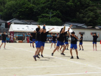 P5231282
