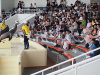P9250162